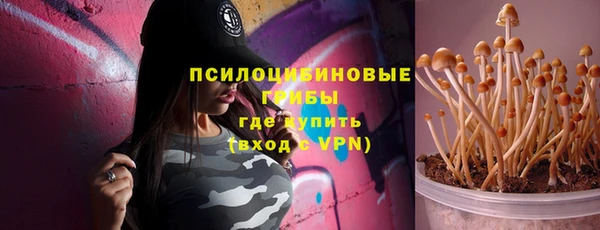 стаф Дмитровск