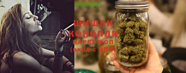 стаф Дмитровск