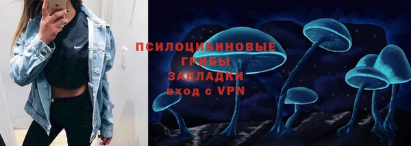 таблы Дмитриев