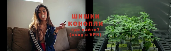 стаф Дмитровск