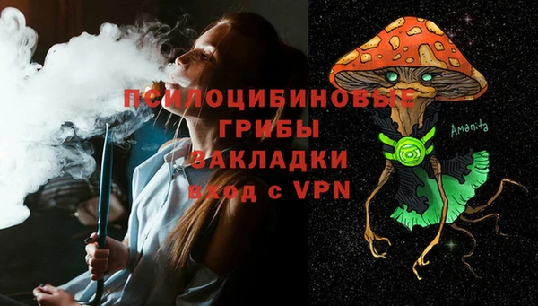 стаф Дмитровск