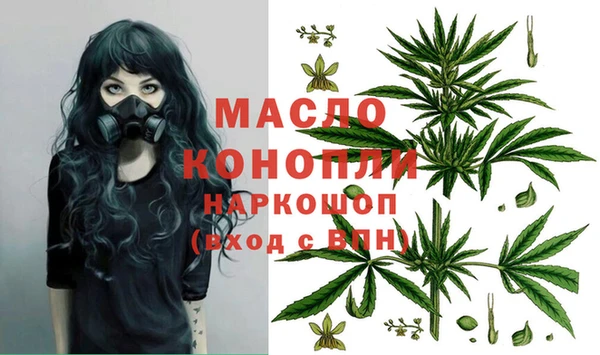 стаф Дмитровск