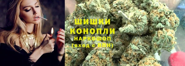 стаф Нефтегорск
