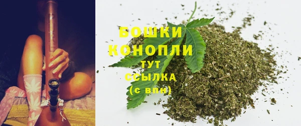 таблы Дмитриев
