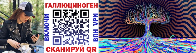 Купить где  Карасук  Псилоцибиновые грибы Psilocybe 
