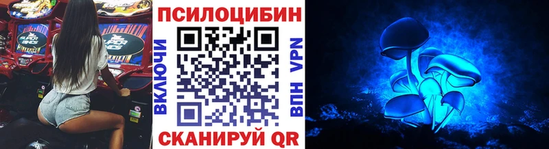 Галлюциногенные грибы Psilocybine cubensis Карасук