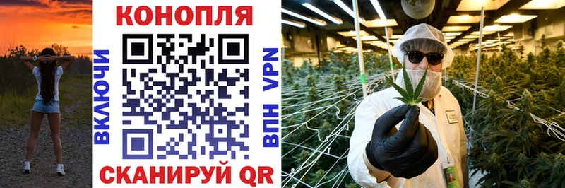 Купить где  Карасук  Каннабис SATIVA & INDICA 
